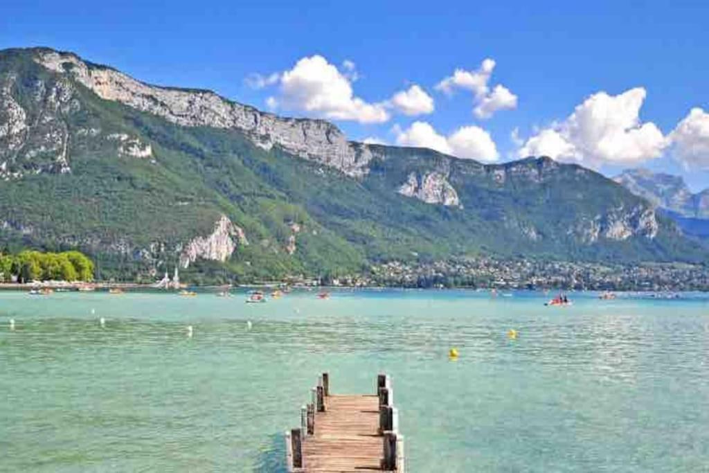 Appartement La Perle Du Thiou - T3 Au Centre D'annecy Avec Parking Prive Annecy