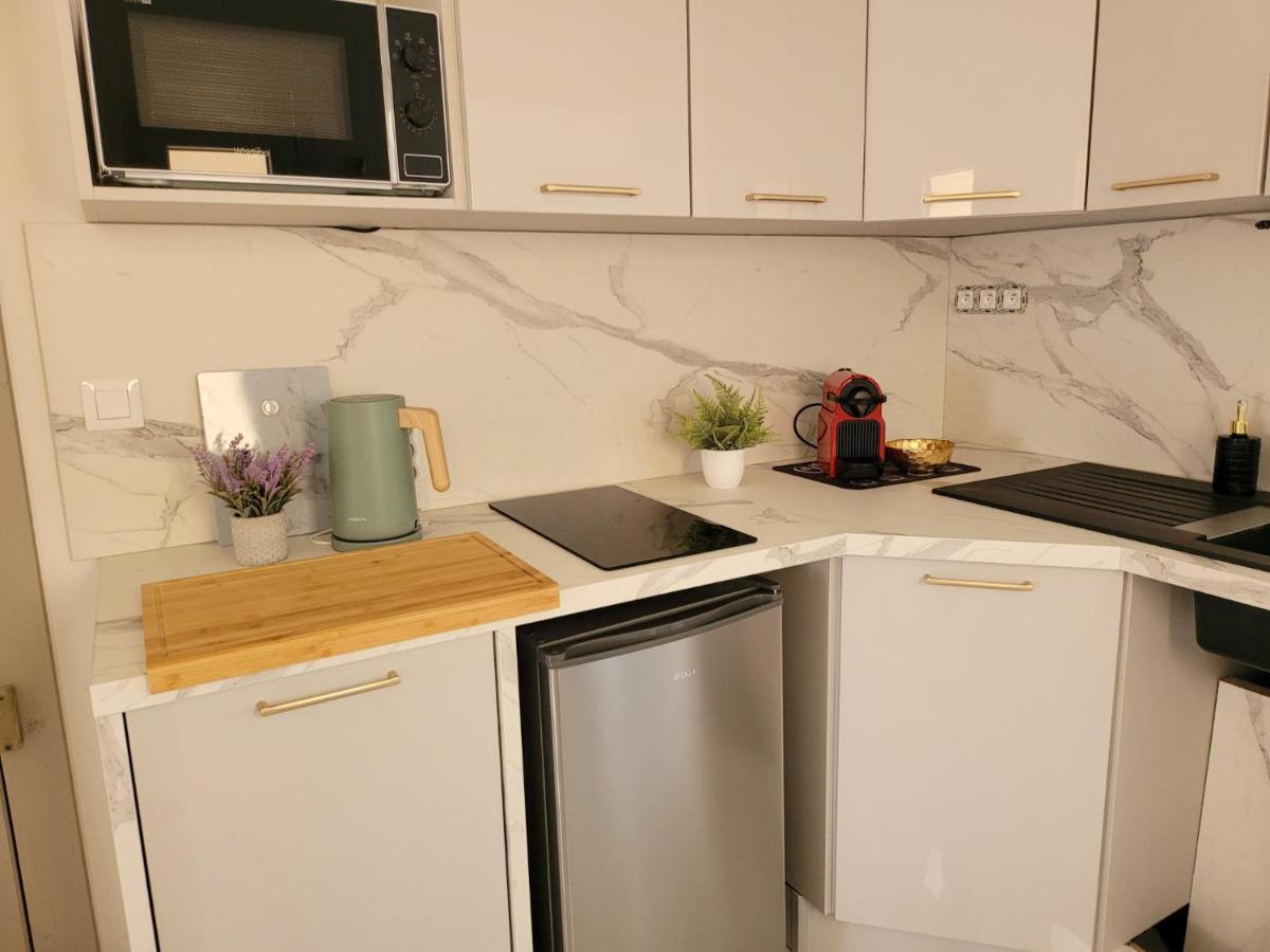 Apartment Au Coeur Des Marches De Noel Et Festivites D'Annecy Annecy