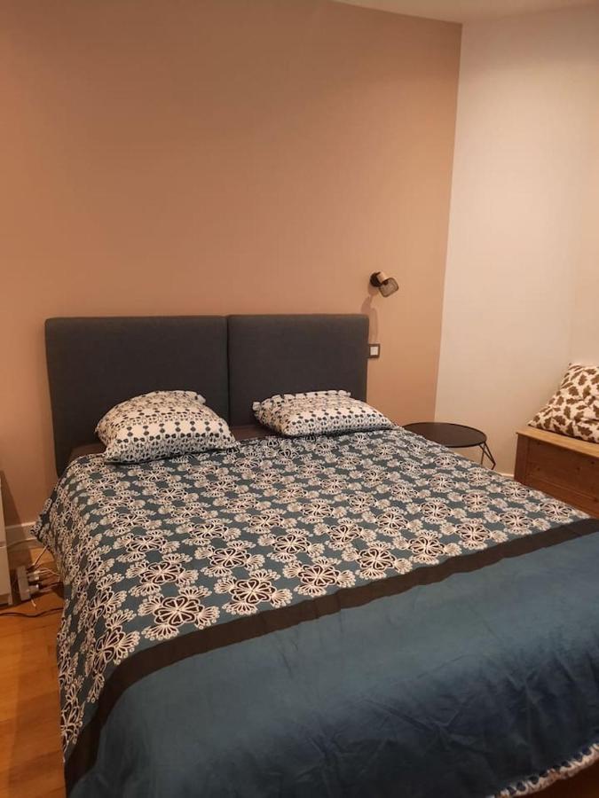 Le Chambery Plein Coeur De Appartement *