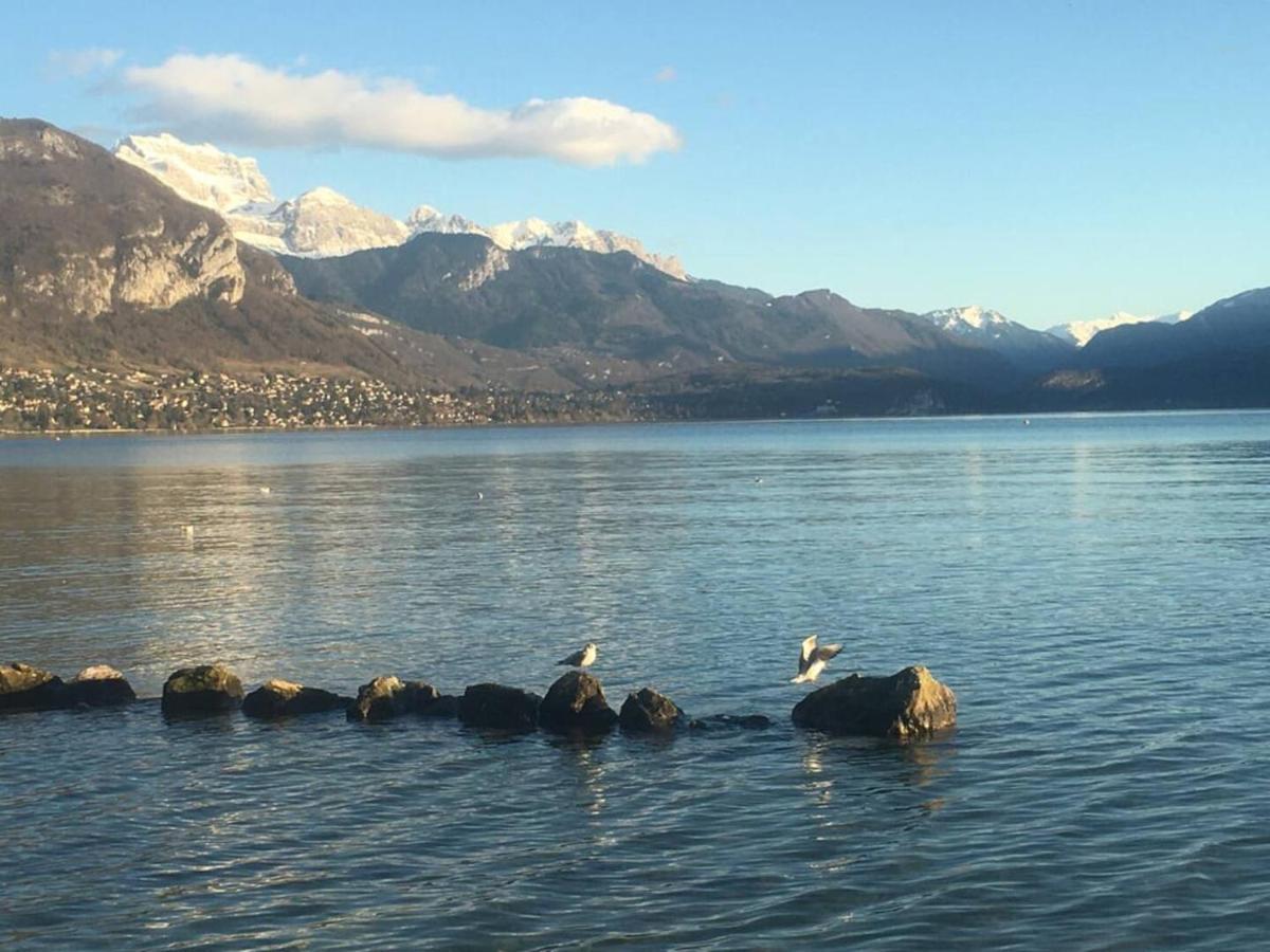 Centre - Gentiane - Apartamento Annecy