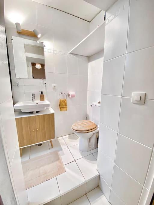 Apartment Votre Cocon A Centre Annecy