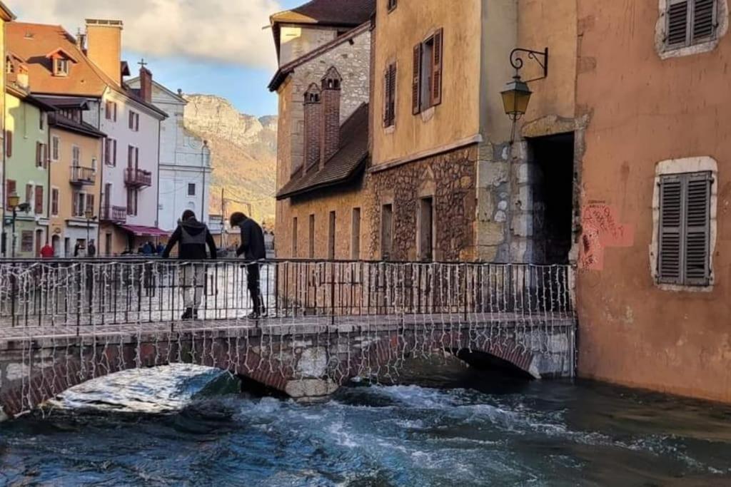 Magnifique A Deux Pas Du Et Pres Du Centre Apartamento Annecy