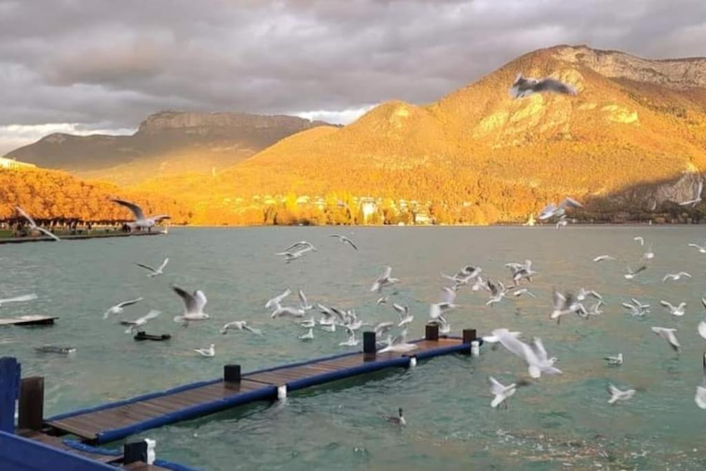 Magnifique A Deux Pas Du Et Pres Du Centre Annecy