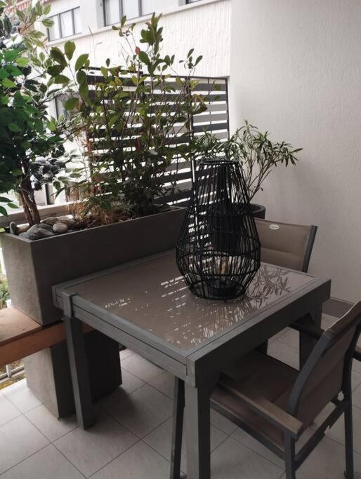 Apartamento Magnifique A Deux Pas Du Et Pres Du Centre
