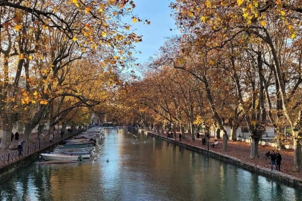 Magnifique A Deux Pas Du Et Pres Du Centre Apartamento Annecy