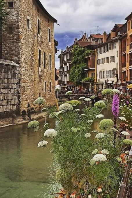 Apartamento Magnifique A Deux Pas Du Et Pres Du Centre Annecy
