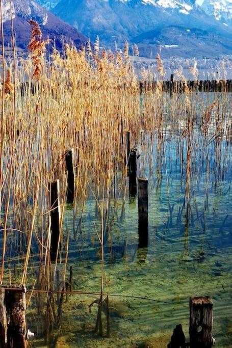 Magnifique A Deux Pas Du Et Pres Du Centre Annecy