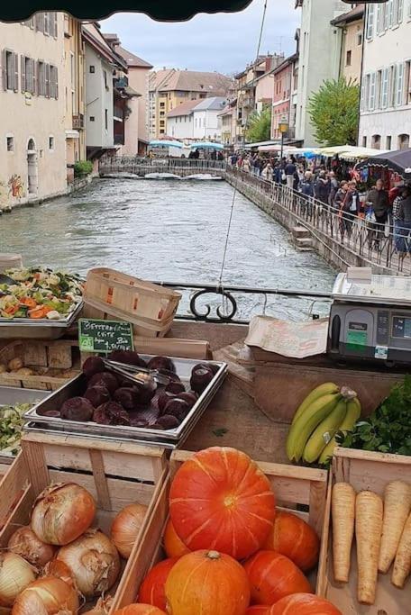 Magnifique A Deux Pas Du Et Pres Du Centre * Annecy