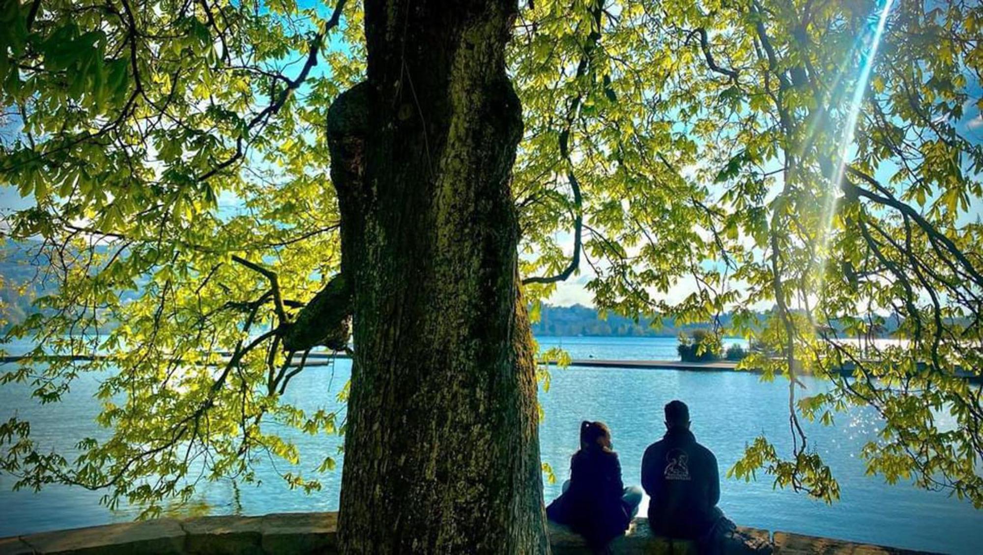 L'instant Paquier 3 Etoiles - Vieille Ville, Face Au Lac, 6 Personnes Apartment Annecy