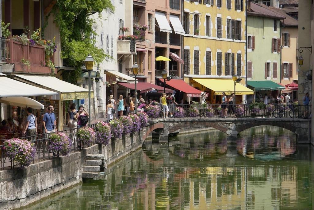 Le Pura Vida, Hyper Centre Terrasse + Parking Apartment Annecy