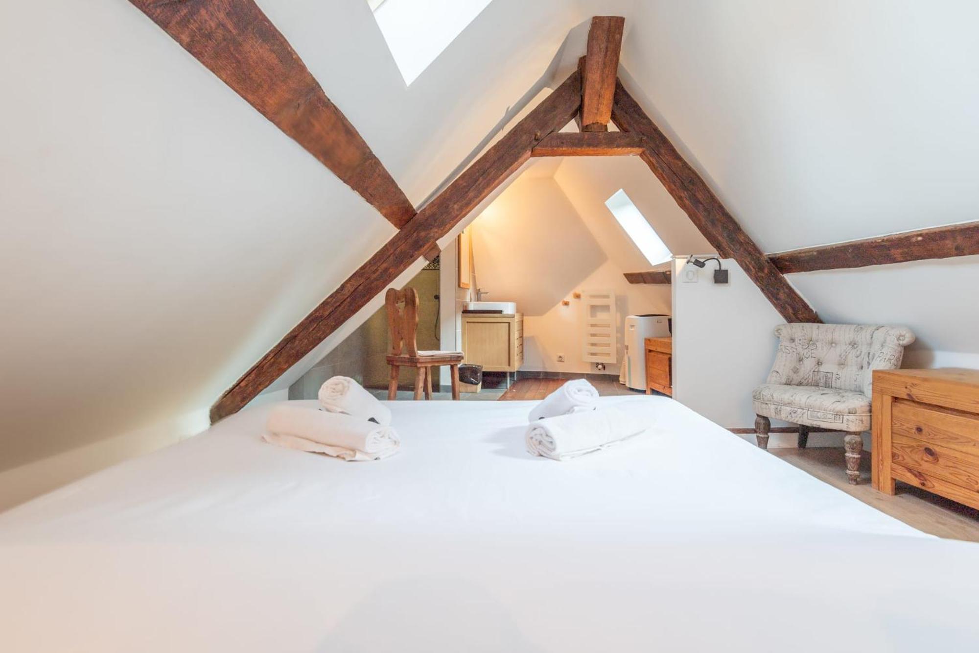 Apartment Le Passage Du Chateau Annecy
