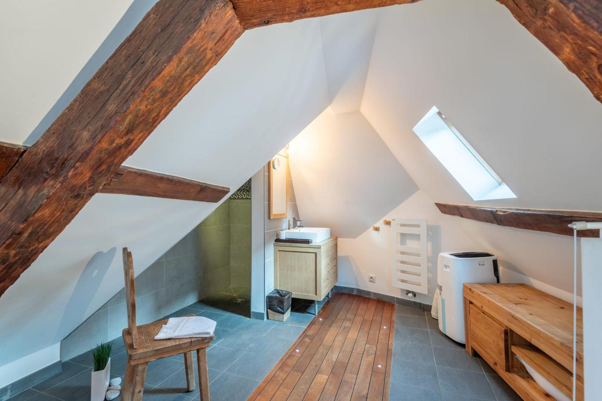 Le Passage Du Chateau Apartment Annecy