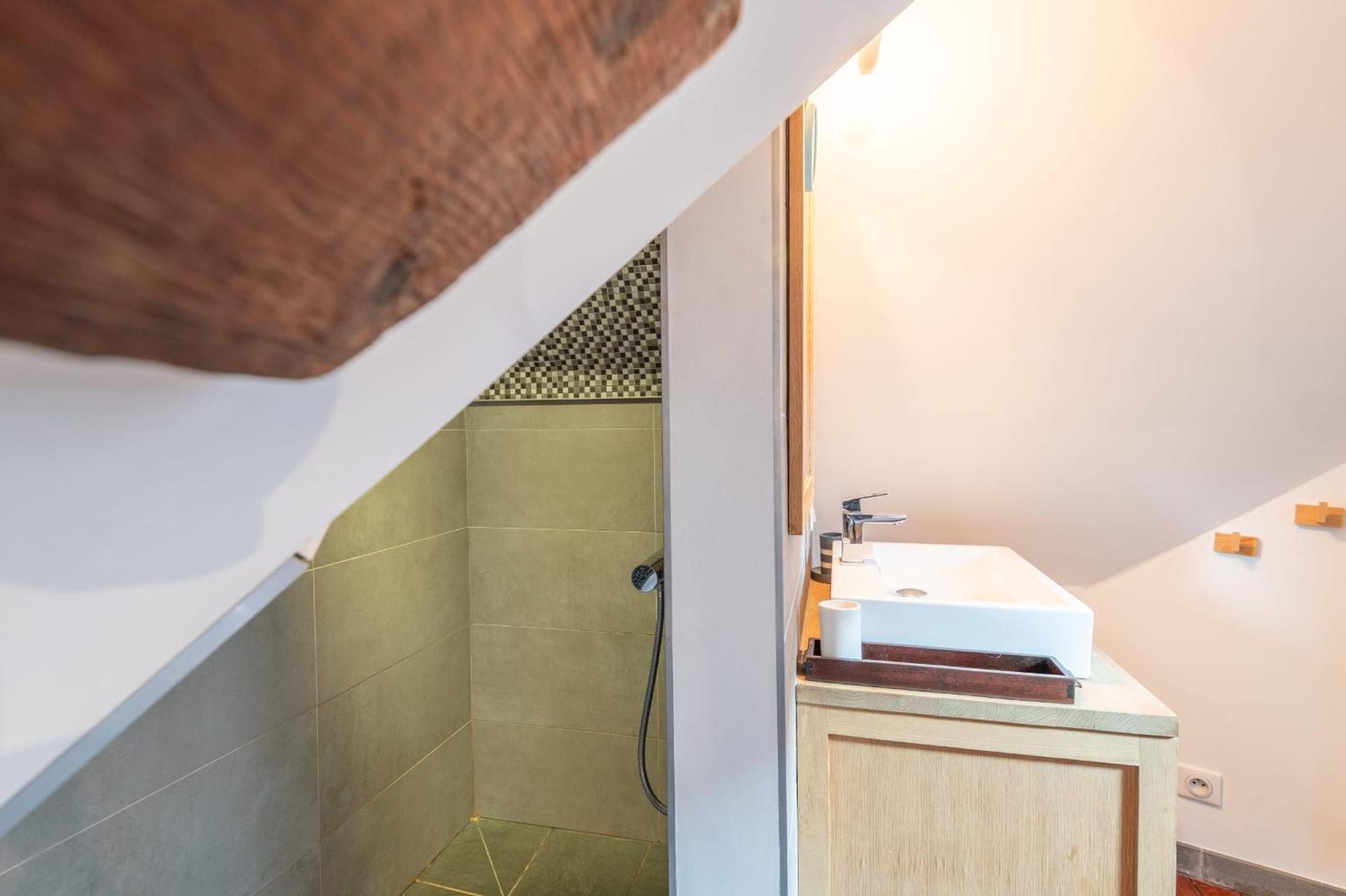 Apartment Le Passage Du Chateau Annecy