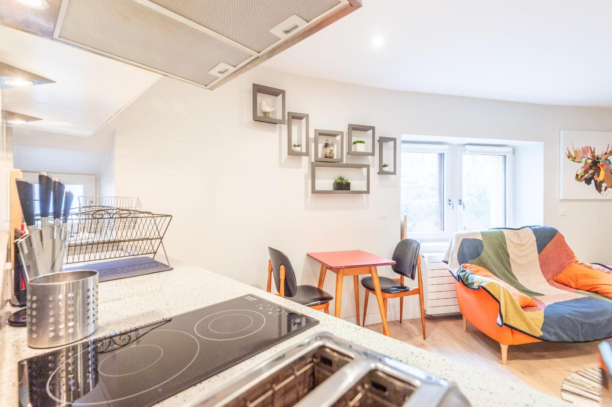 Le Passage Du Chateau Apartment Annecy