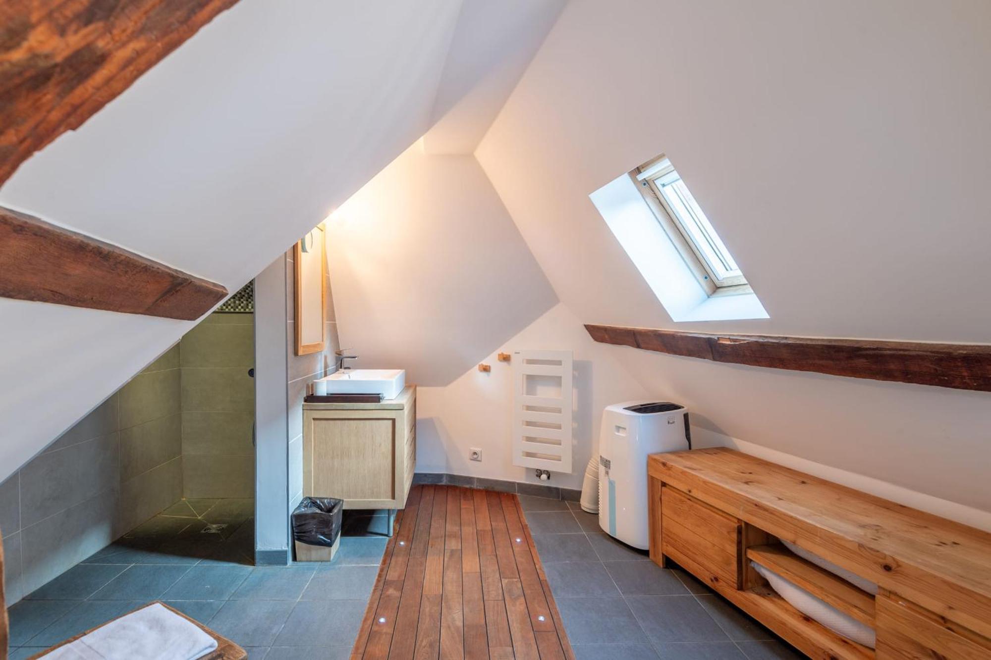Apartment Le Passage Du Chateau Annecy