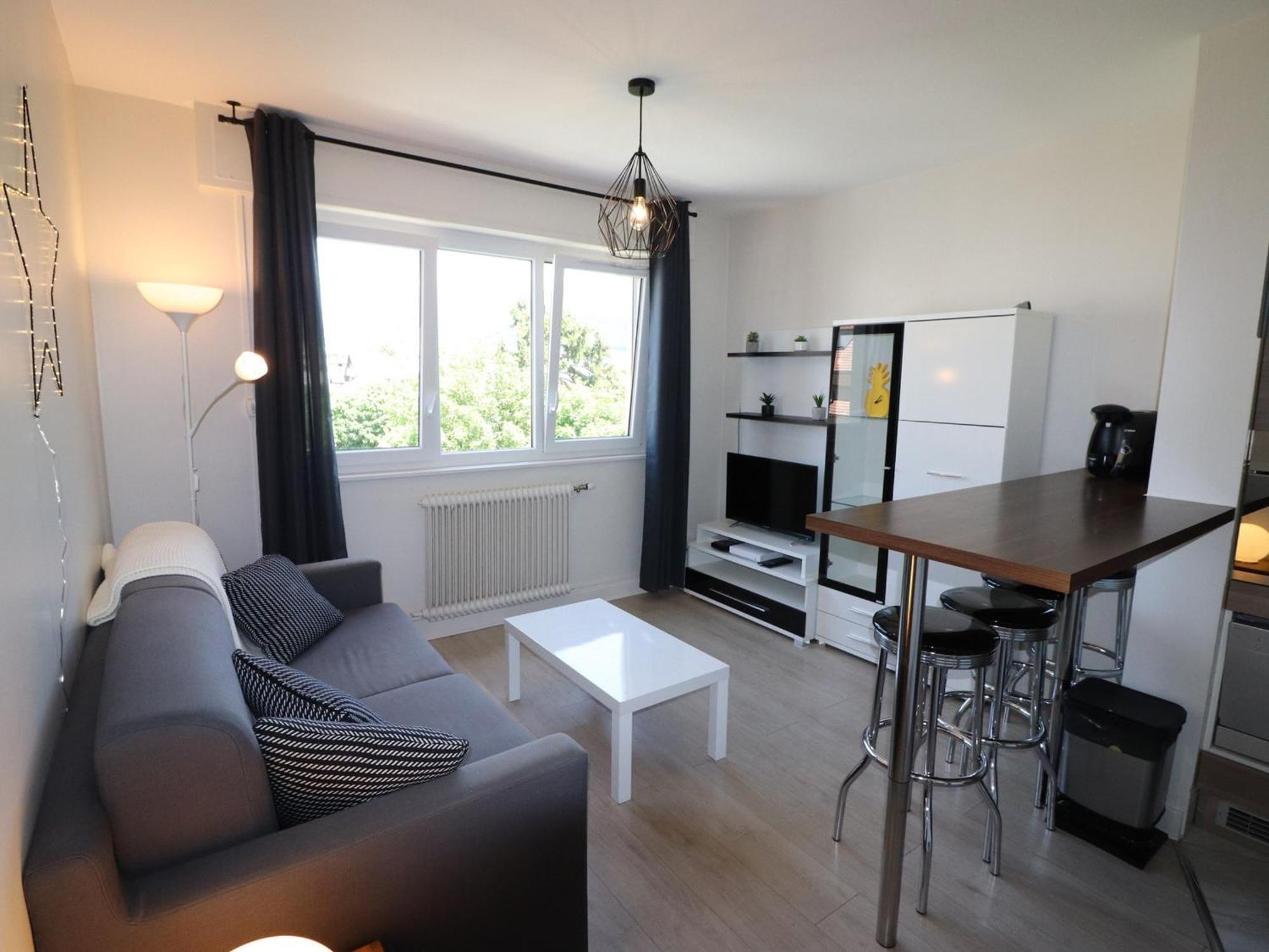 - 2 Pieces Renove, Proche Et Centre-ville, Avec Parking - Fr-1-432-76 Apartment Annecy