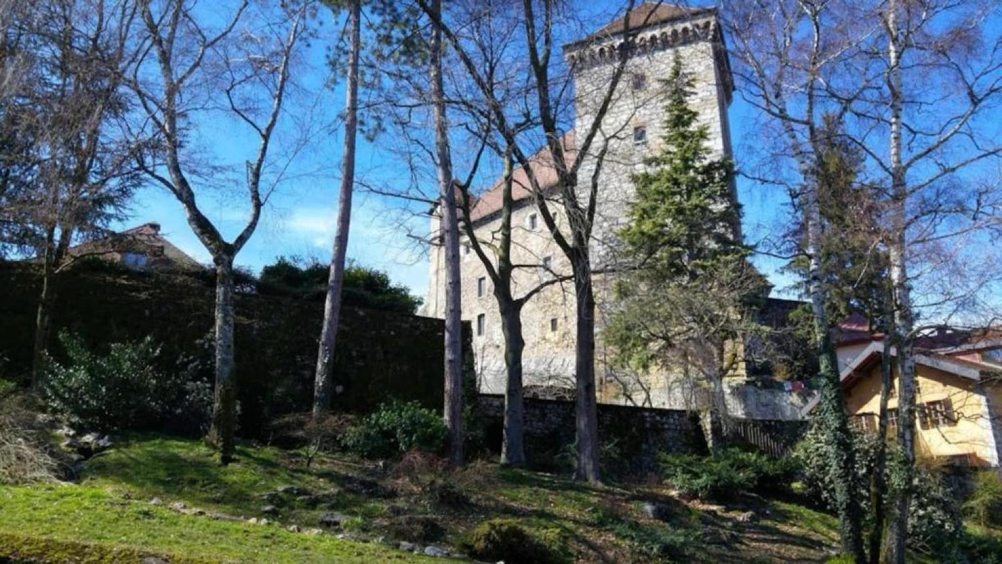 Apartment & Castle - Vue Chateau - Climatisation - Majord'home *