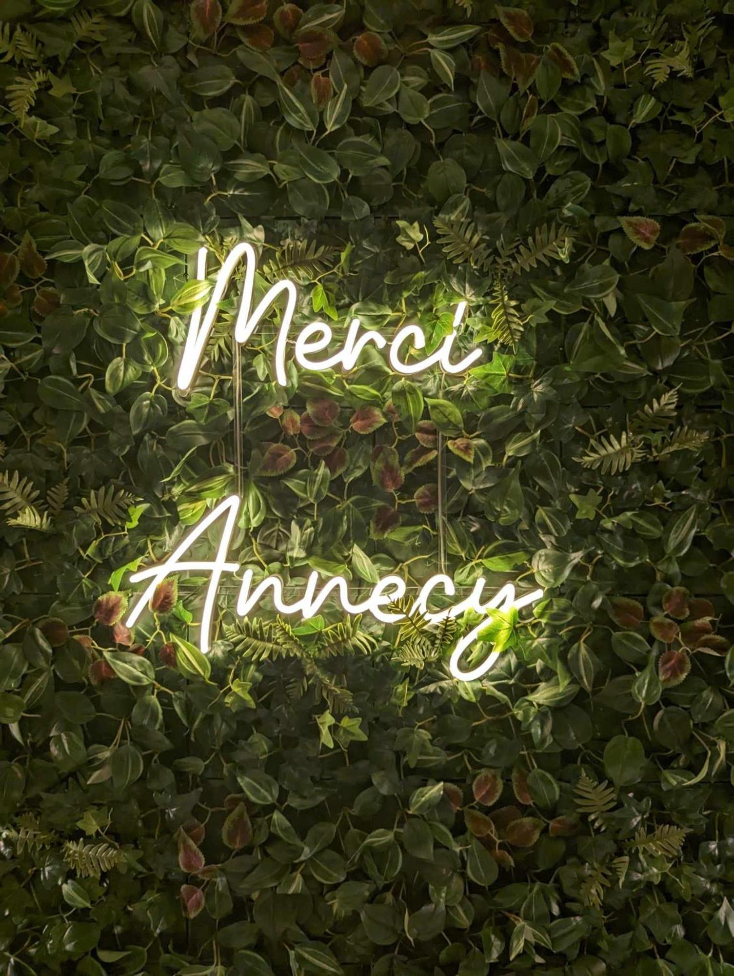 & Merci - Parking Et Proche Du Apartment Annecy