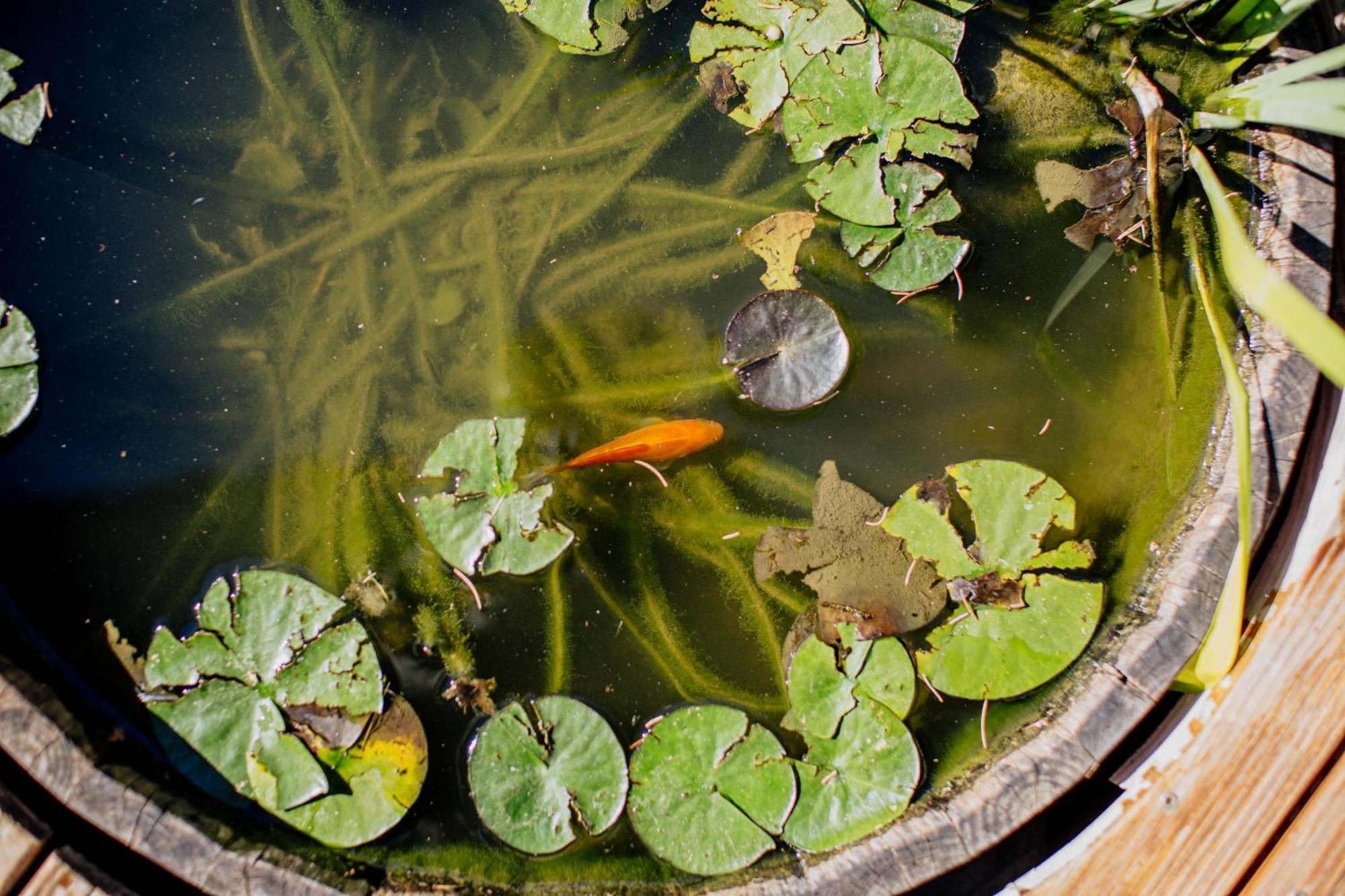 Luxe, Au Calme Avec Piscine A 5min Du Villa *