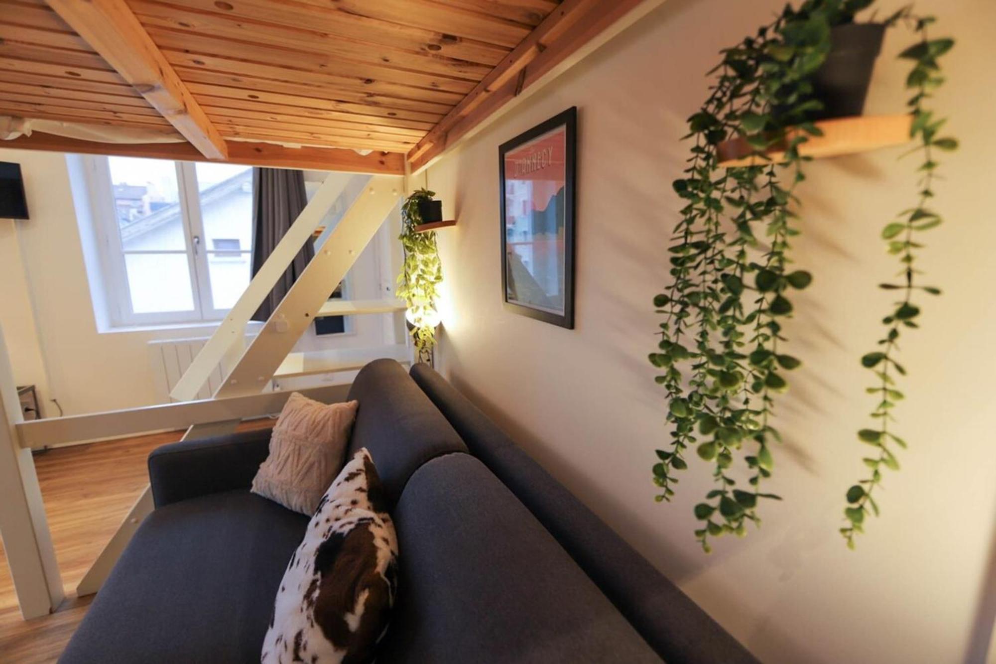 Appartement Le Petit Plus - Studio Confortable Avec Parking