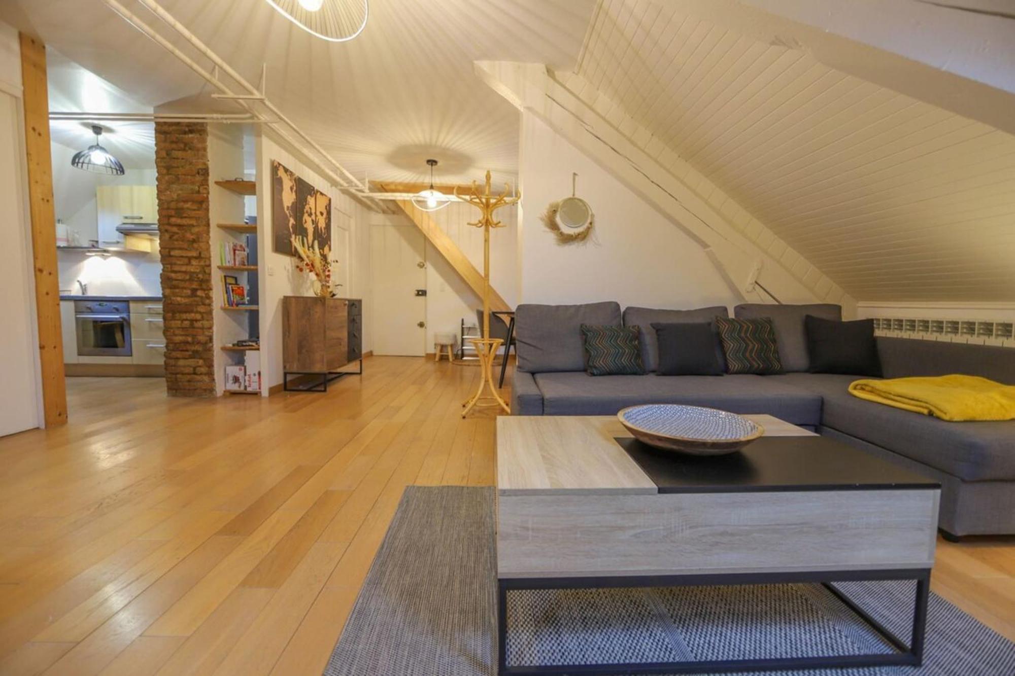Apartamento Le Factory Duplex En Vieille Cote Annecy