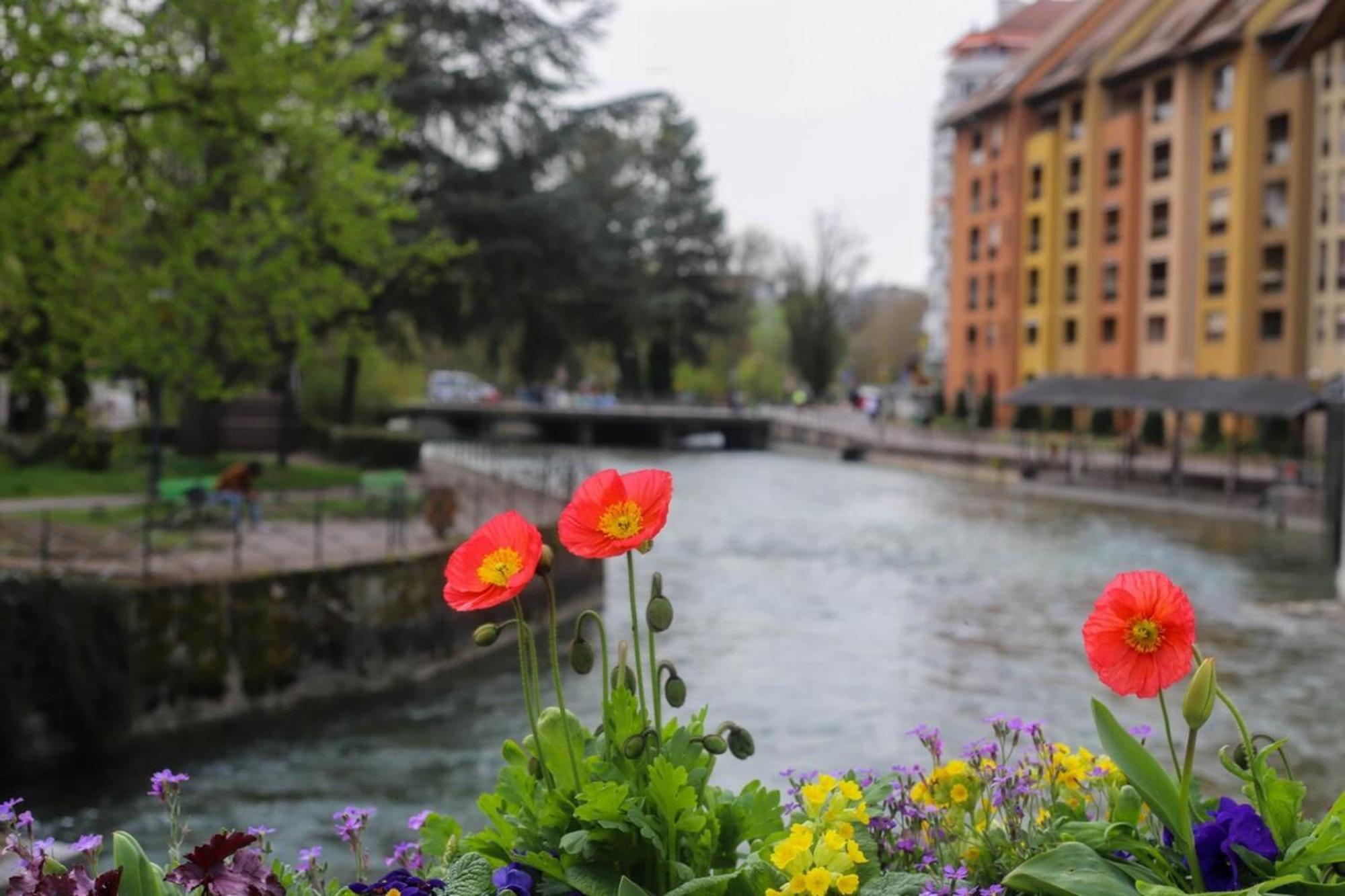 Apartment Le Coeur De Splendide T2 Plein Centre Annecy