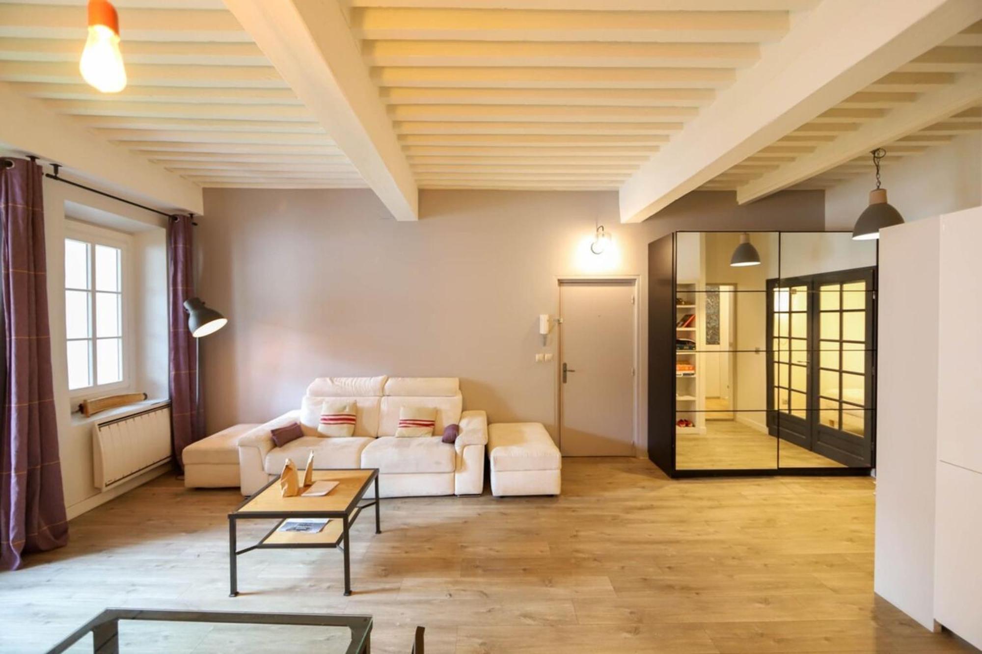 Apartamento 55 M2 With Big Terrace In Downtown Annecy