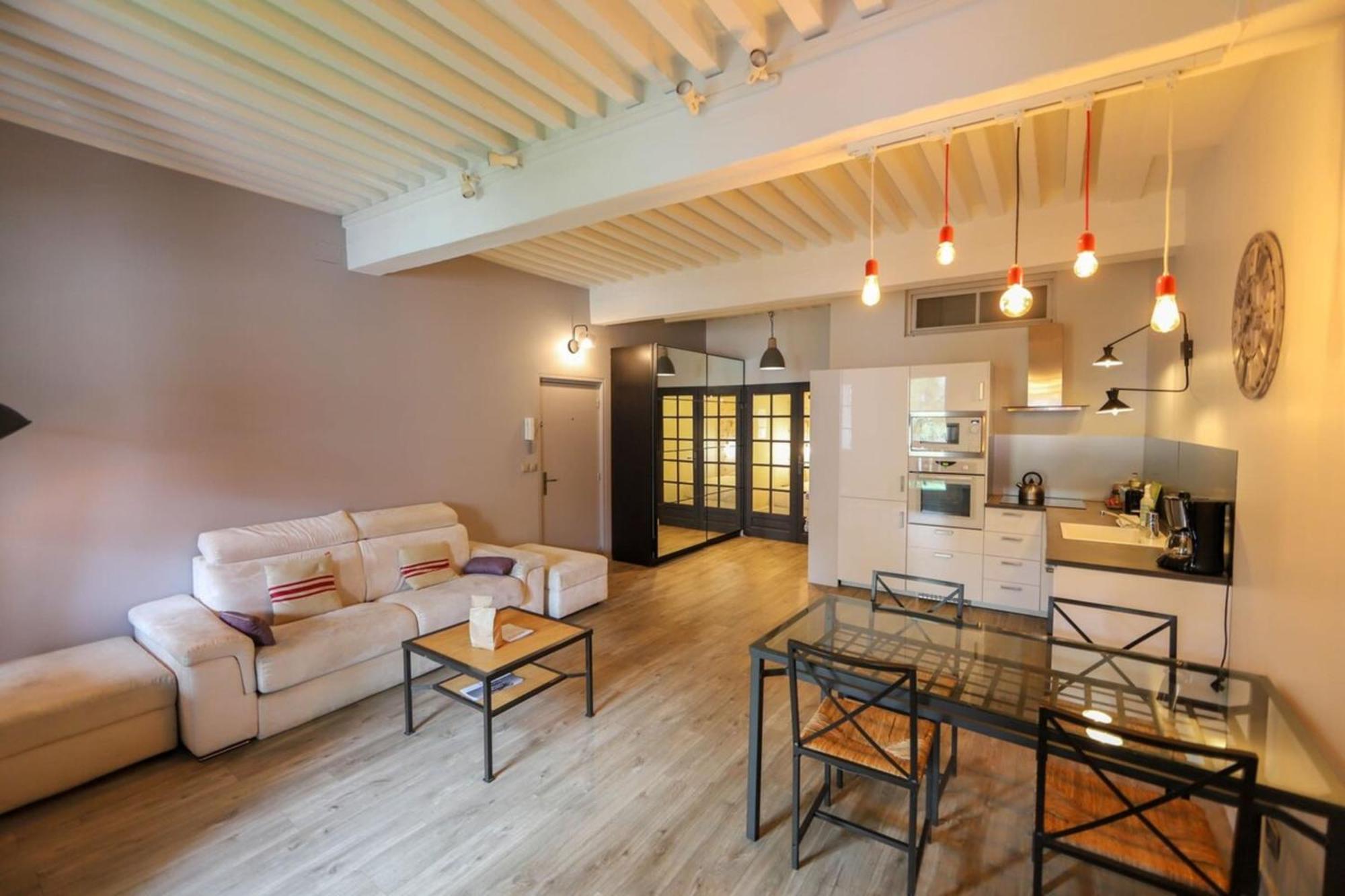Apartamento 55 M2 With Big Terrace In Downtown Annecy