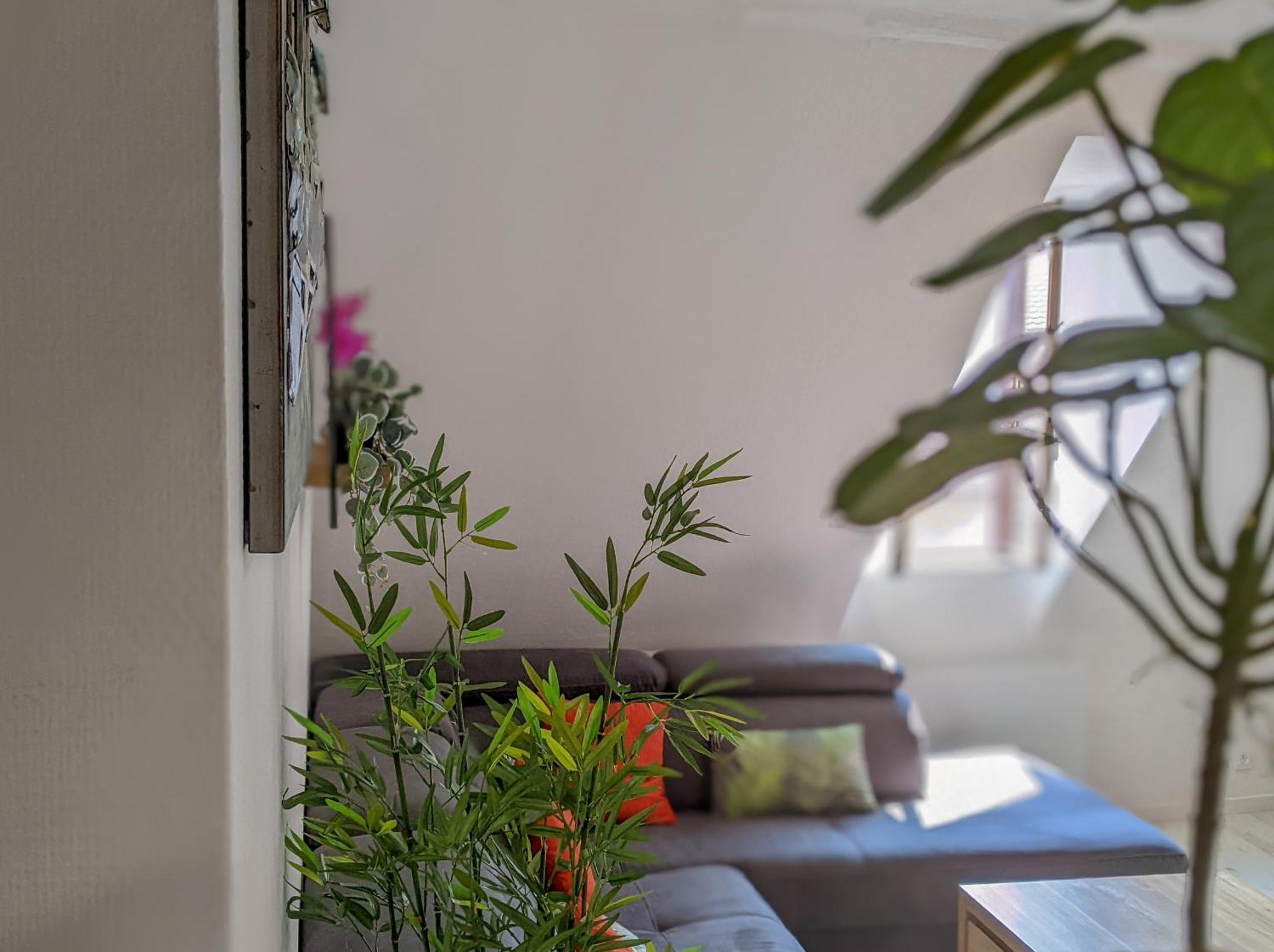 Apartamento Le St-francois Charmant Duplex 3 Etoiles En Vieille
