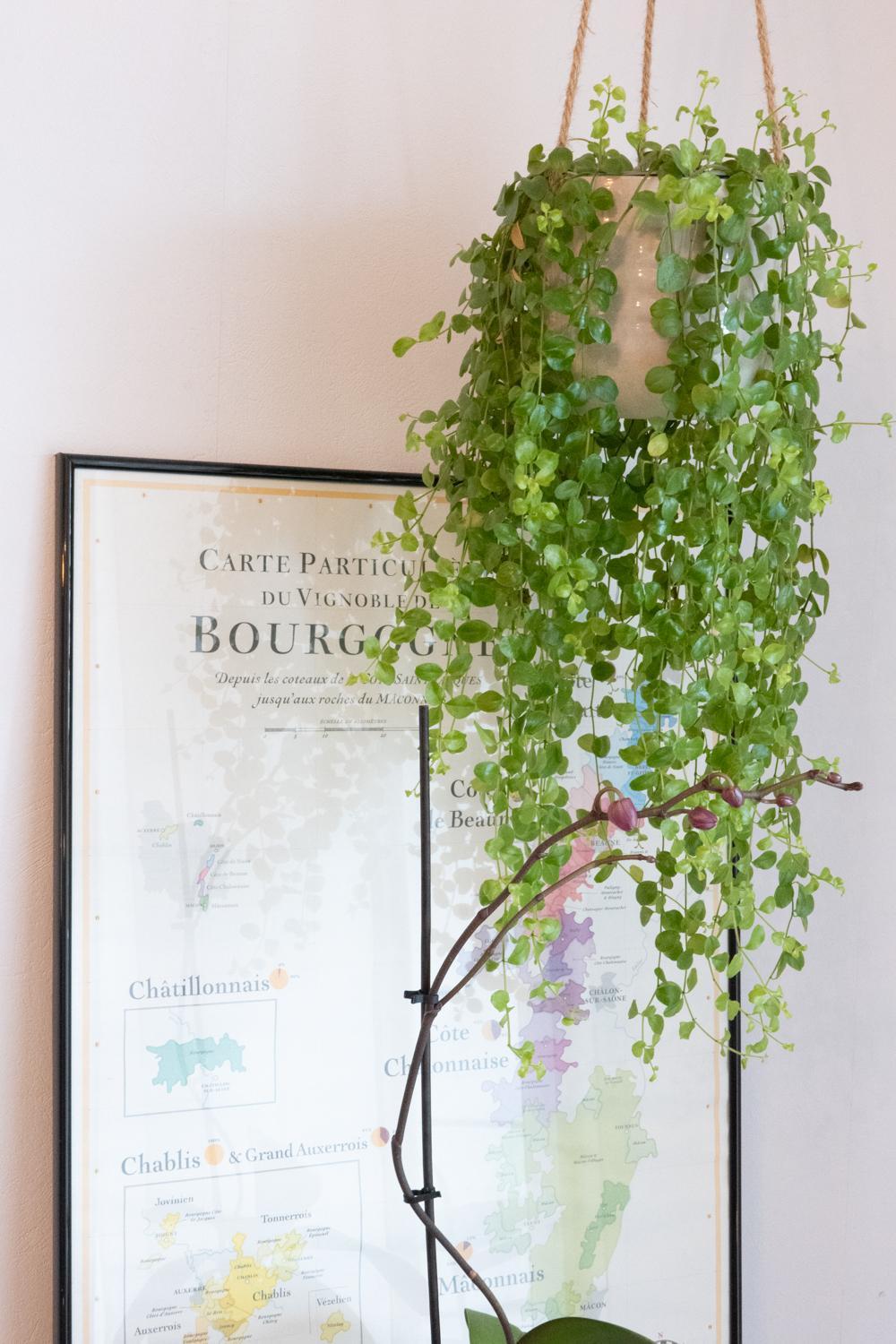 Apartment L'elegance : Grande Chambre/stationnement Annecy