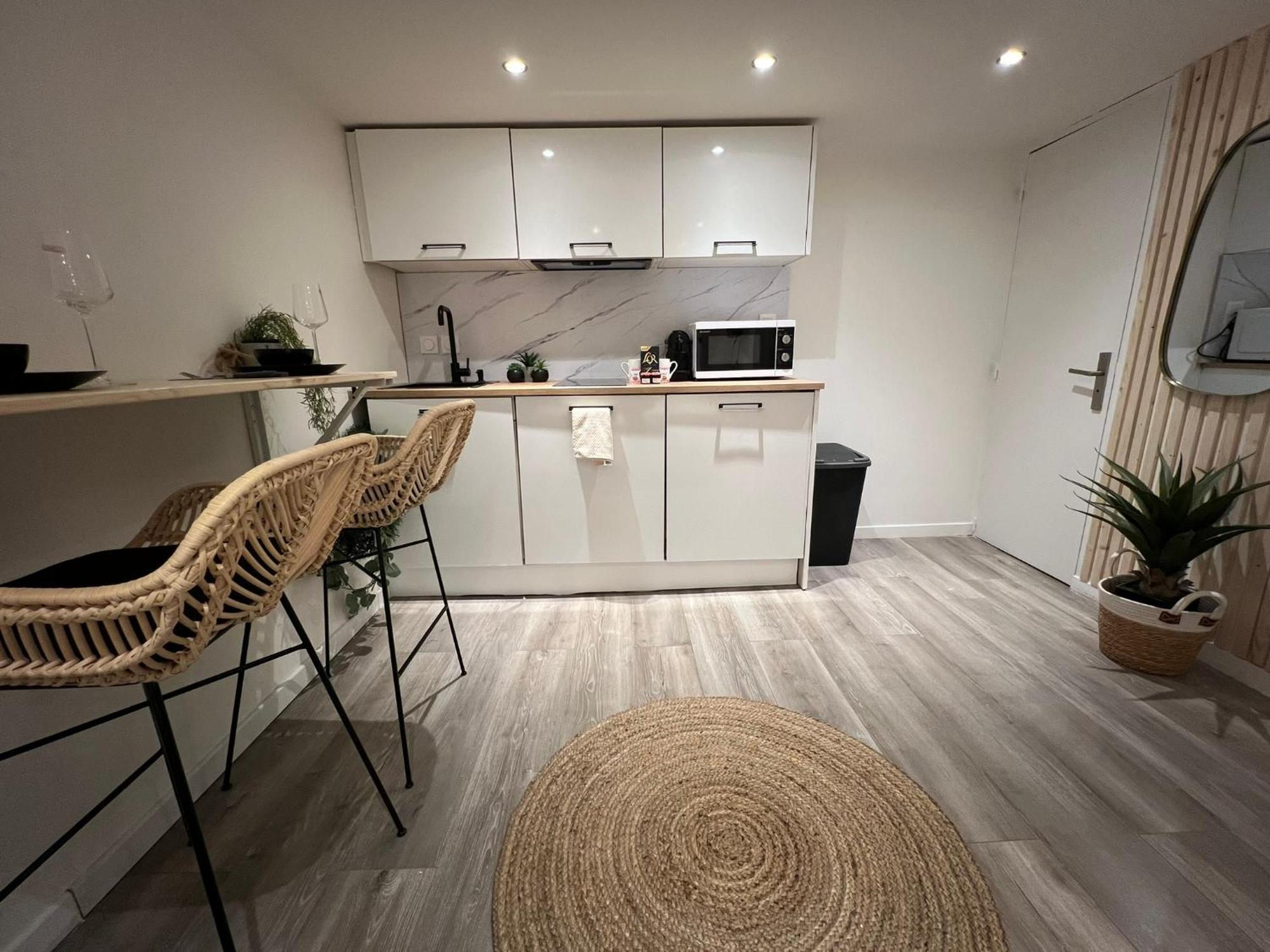 Le Zenith Vieille D'annecy Apartment Annecy
