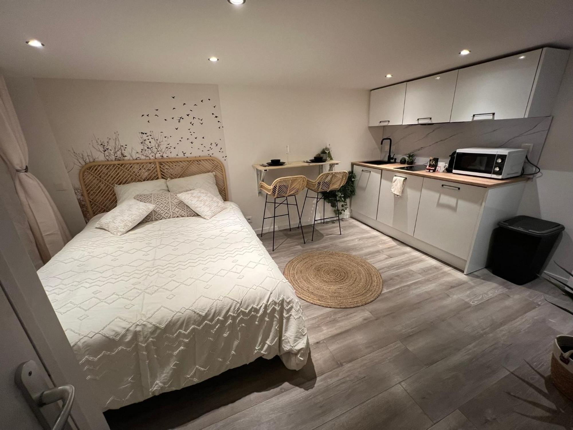 Apartment Le Zenith Vieille D'annecy *