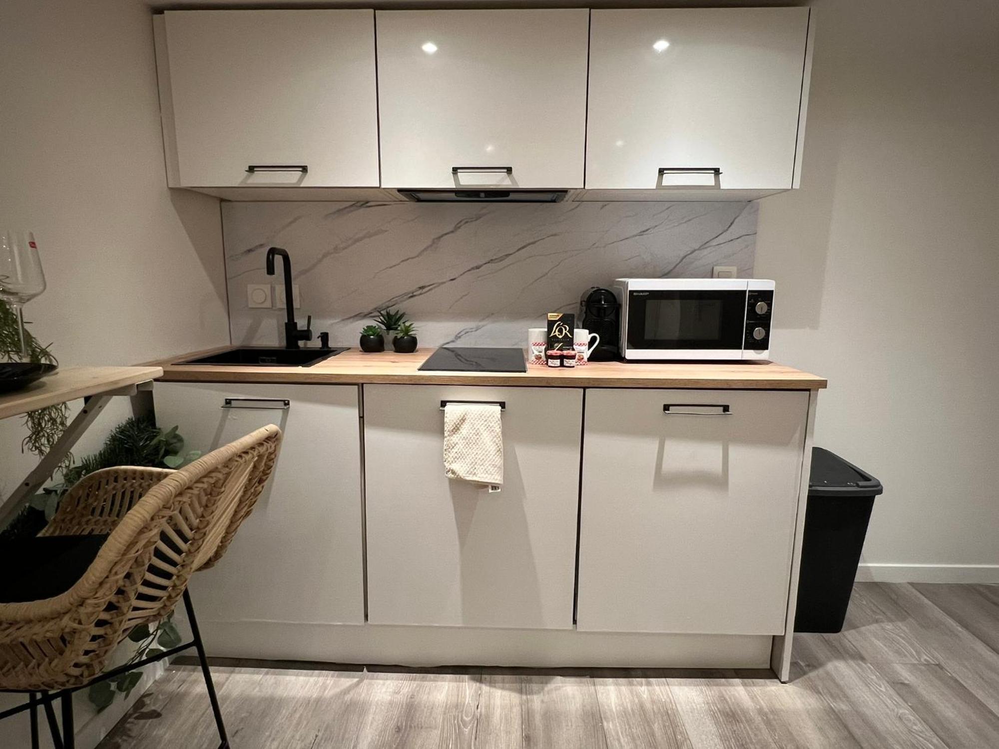 Apartment Le Zenith Vieille D'annecy Annecy