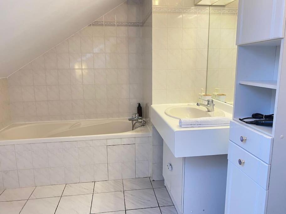 L'orme • Duplex Au Bord Du Canal Annecy