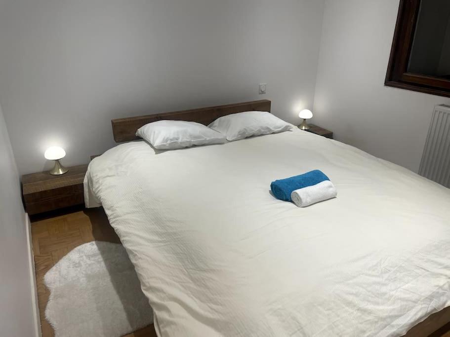 Centre-ville: 3 Couchages, Parking Apartment Annecy