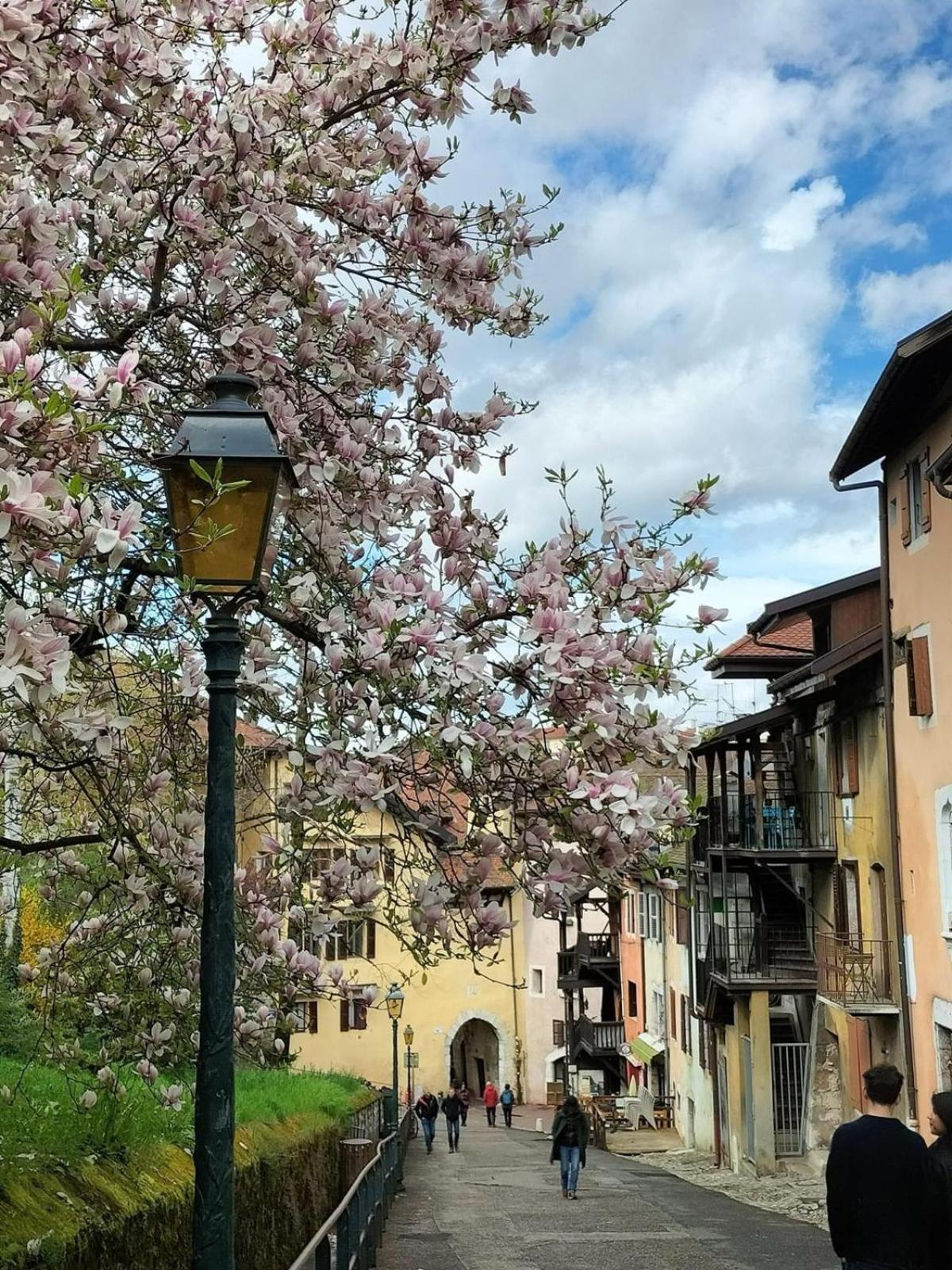 Apartment & Castle - Au Pied Du Chateau D'annecy