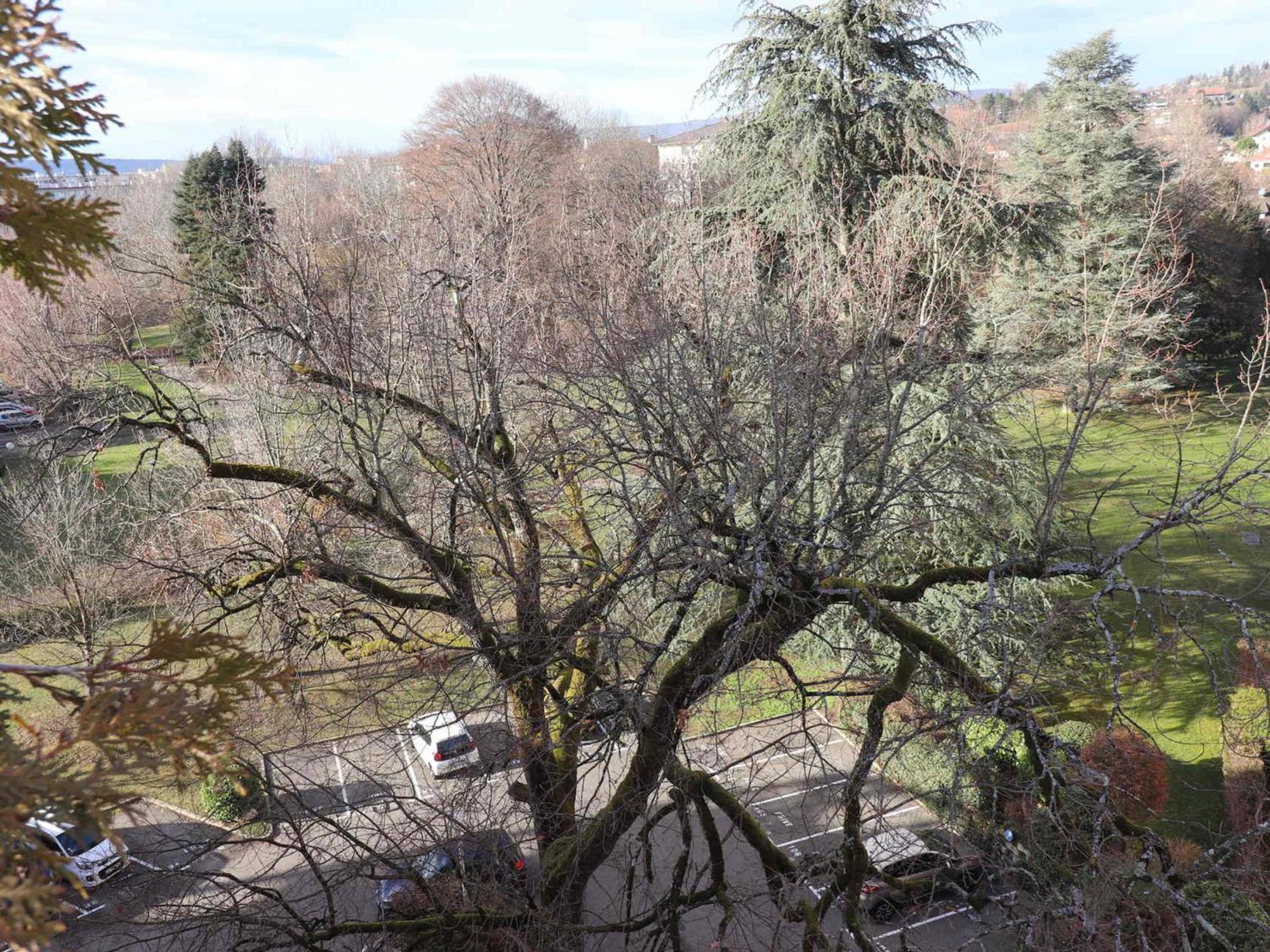 T2 De 60m² A Annecy-le-vieux, Grande Terrasse Amenagee, Proche Et Commerces - Fr-1-432-74 *