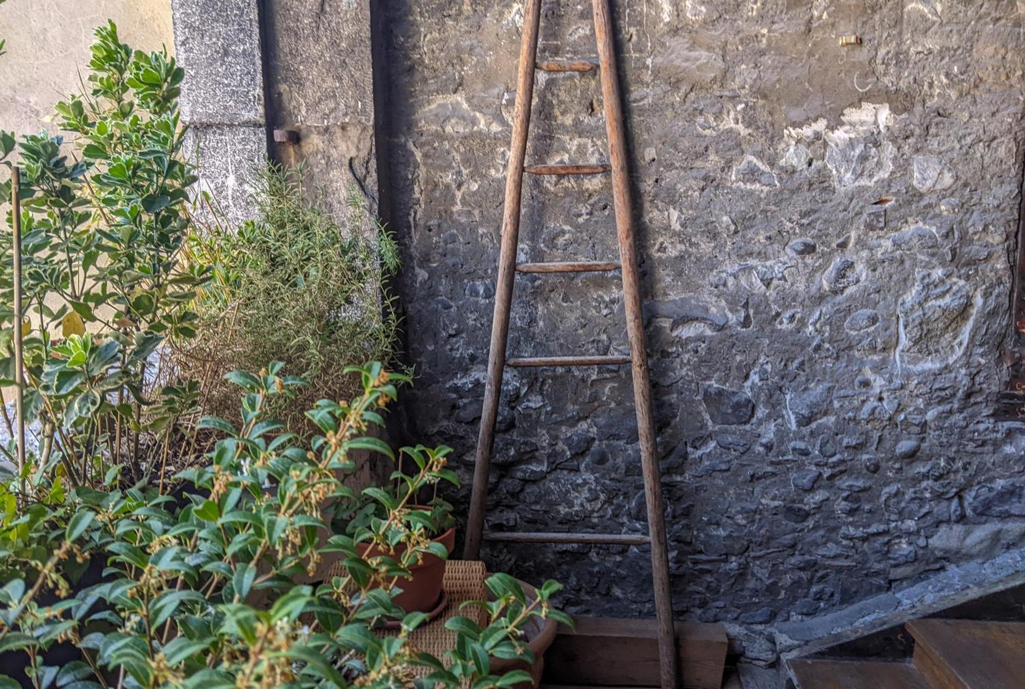 Nid Douillet Annecy