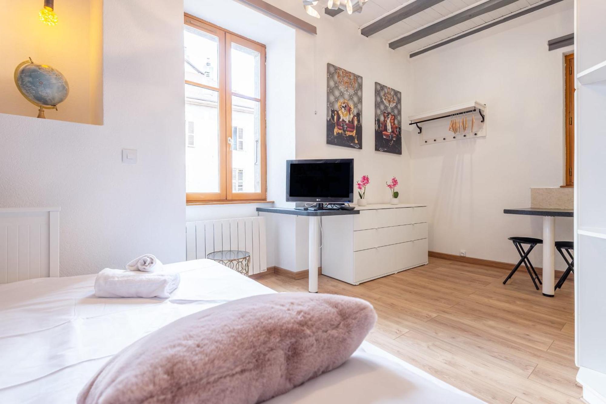 Apartment La Tour Medievale Au Centre Annecy