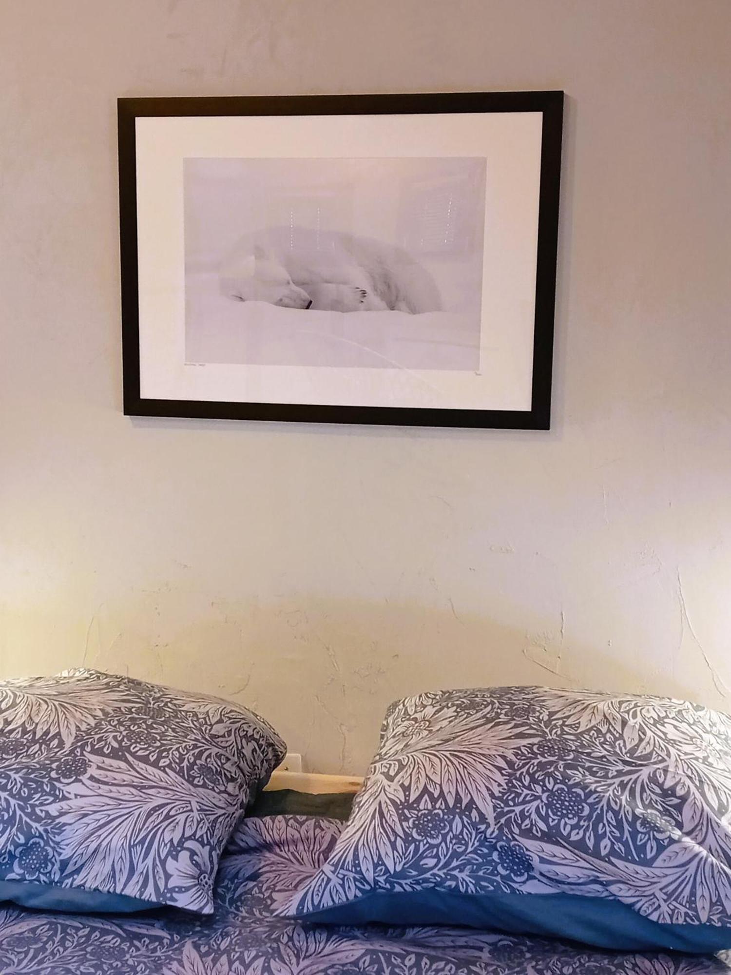 Le Reve De L'ours Apartment Annecy