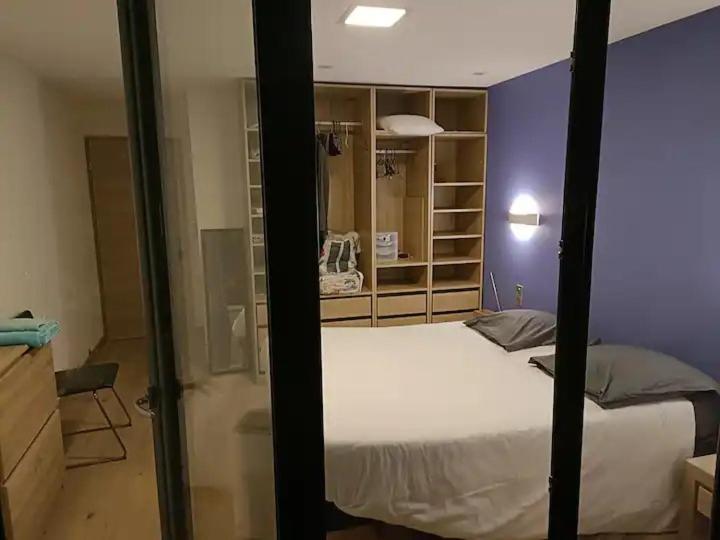 Privee 2 - Chez Vincent - Gare - Centre Homestay Annecy