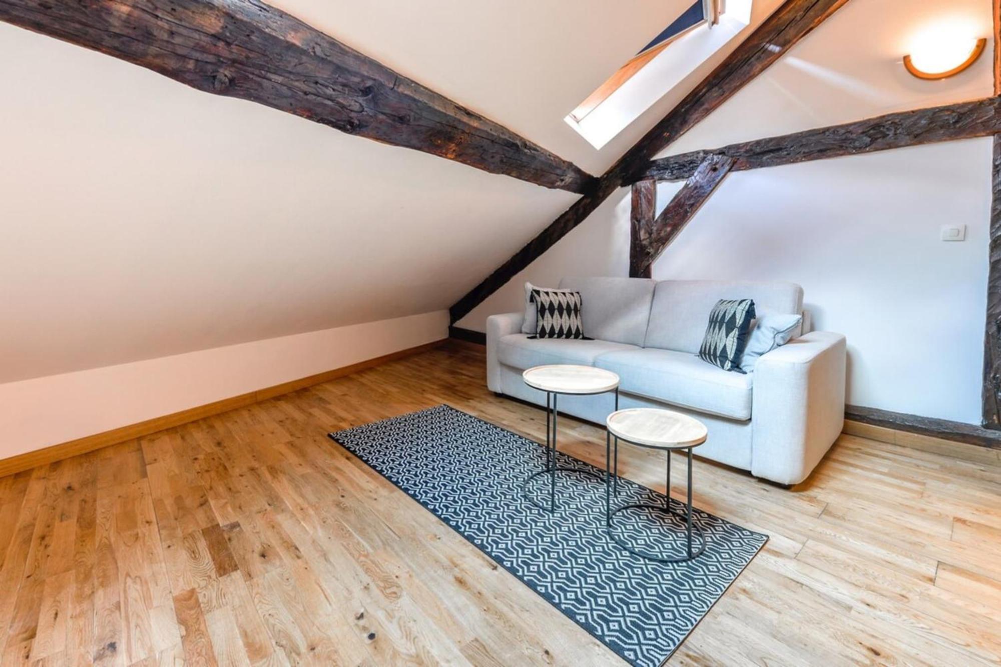 Tyni House Furnished Flat Annecy