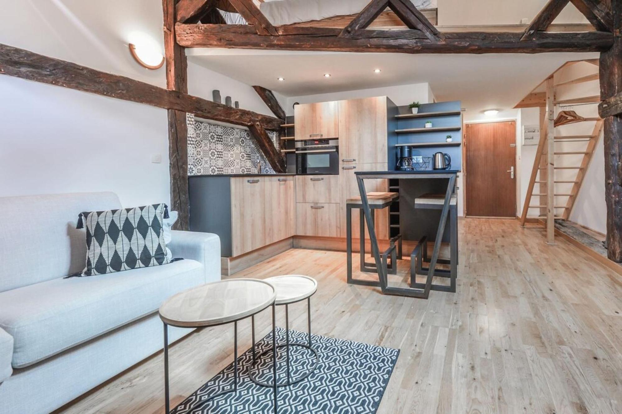 Tyni House Furnished Flat Apartment Annecy