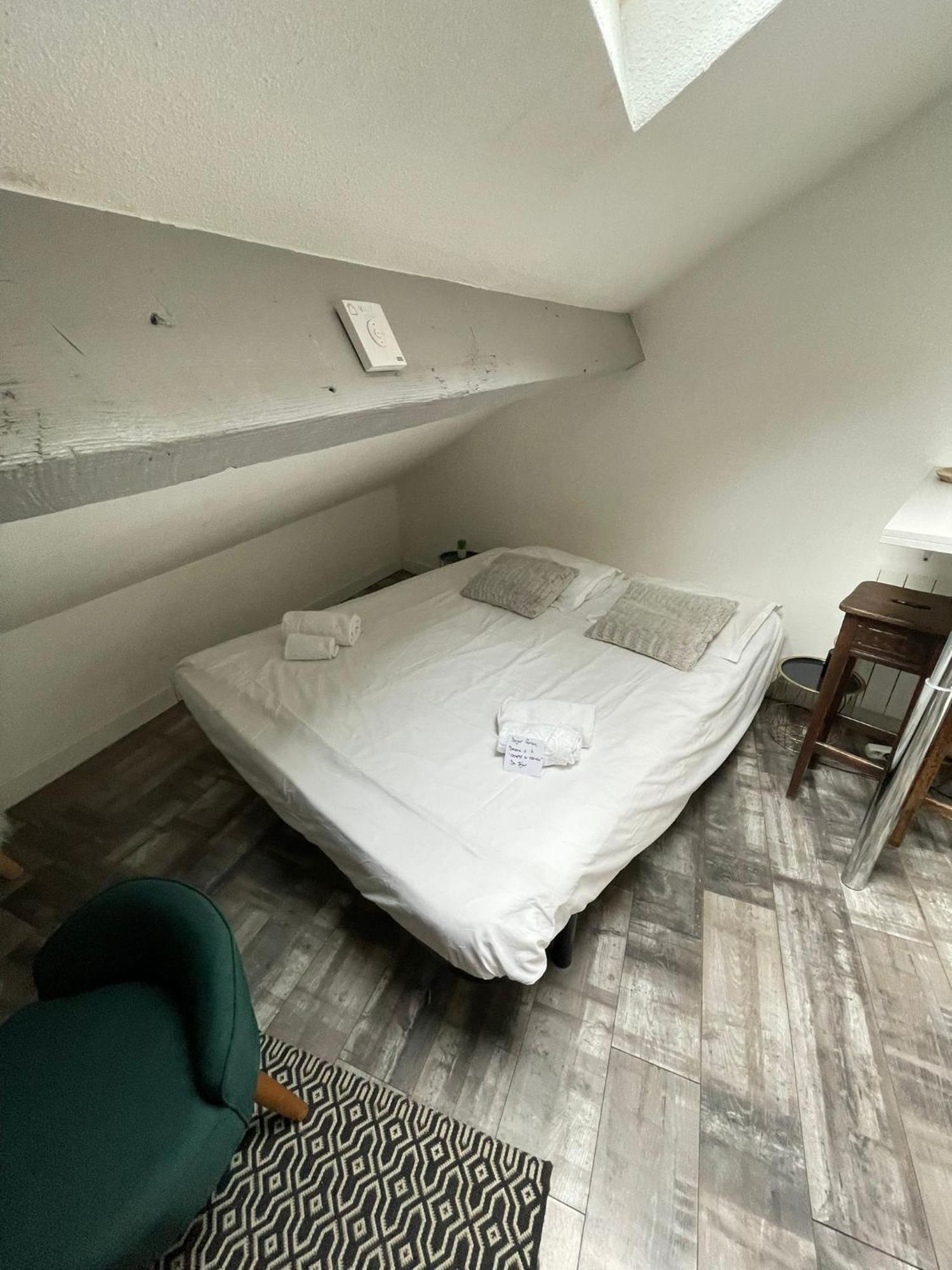 Grenier Du 100 M Du Appartement *