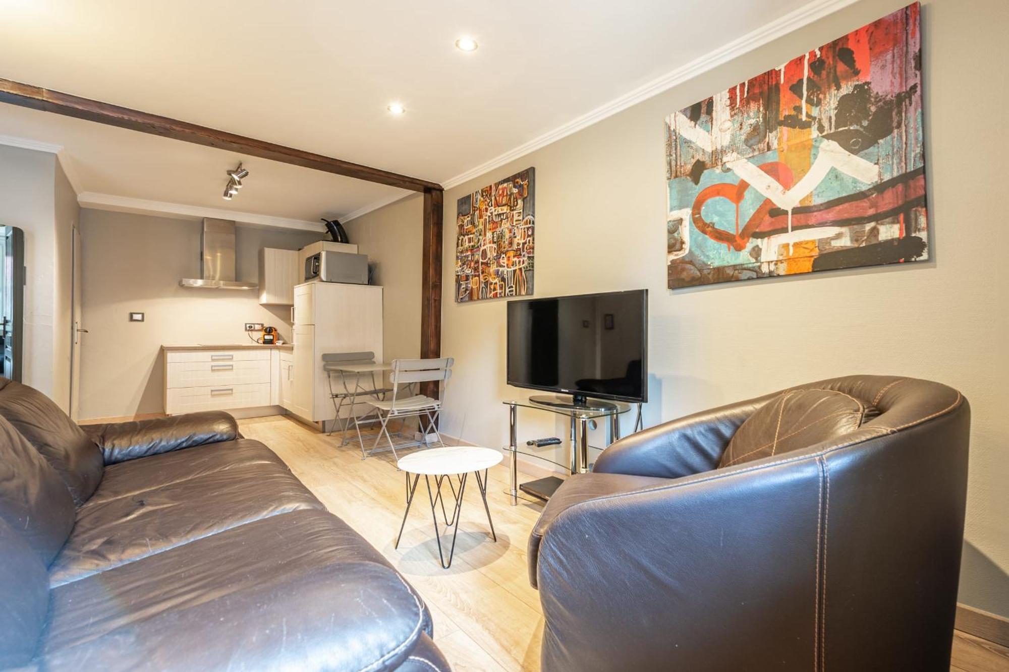 Appartement T2 Coeur De Vieille Annecy