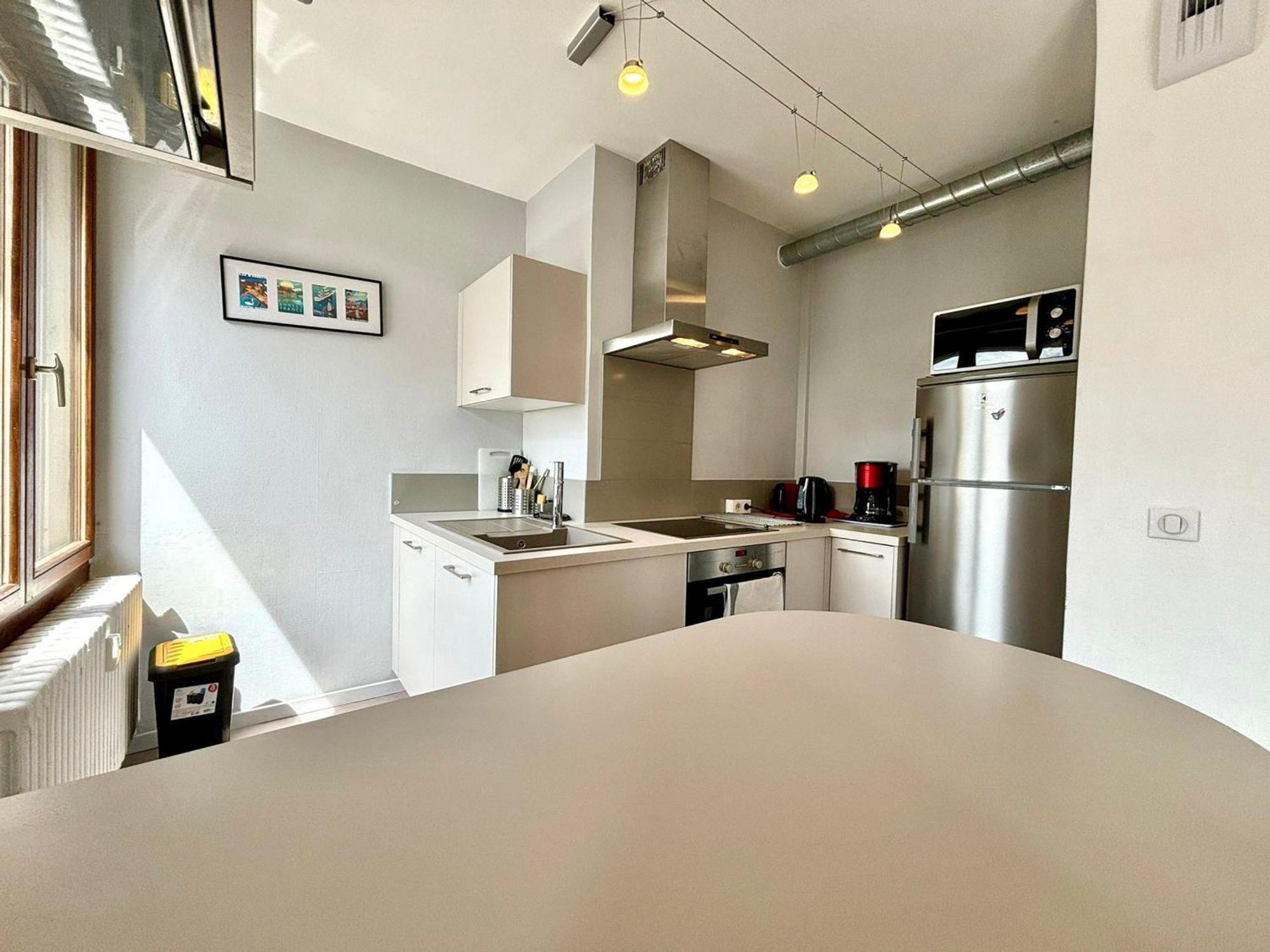 Centre - Lumineux Et Spacieux 2 Pieces De 54m² Pour 2/4 Personnes - Fr-1-432-28 Apartment Annecy