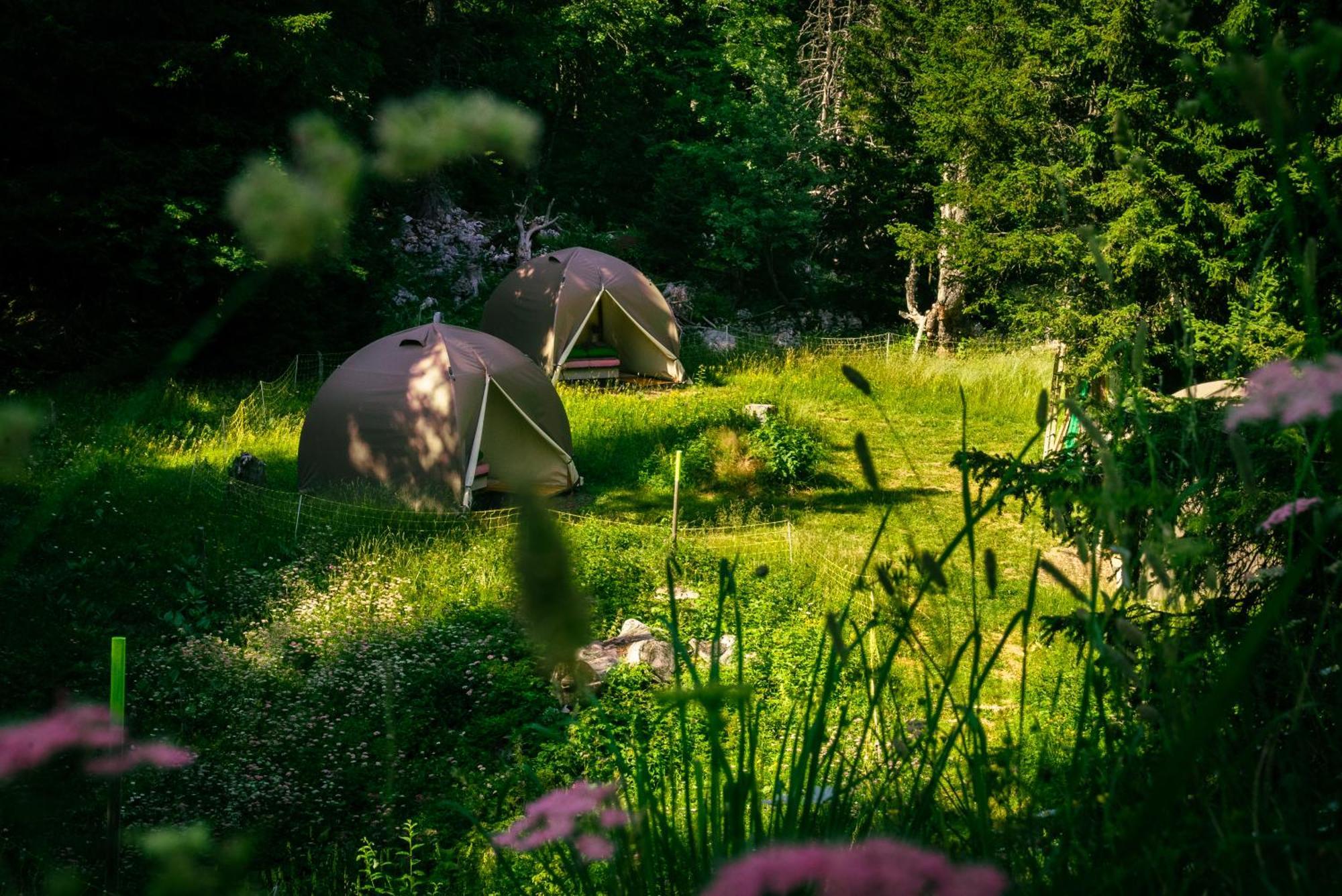 Luxury tent Eco Bivouac Village Igloos - Le Semnoz - A 20 Minutes D'annecy Annecy