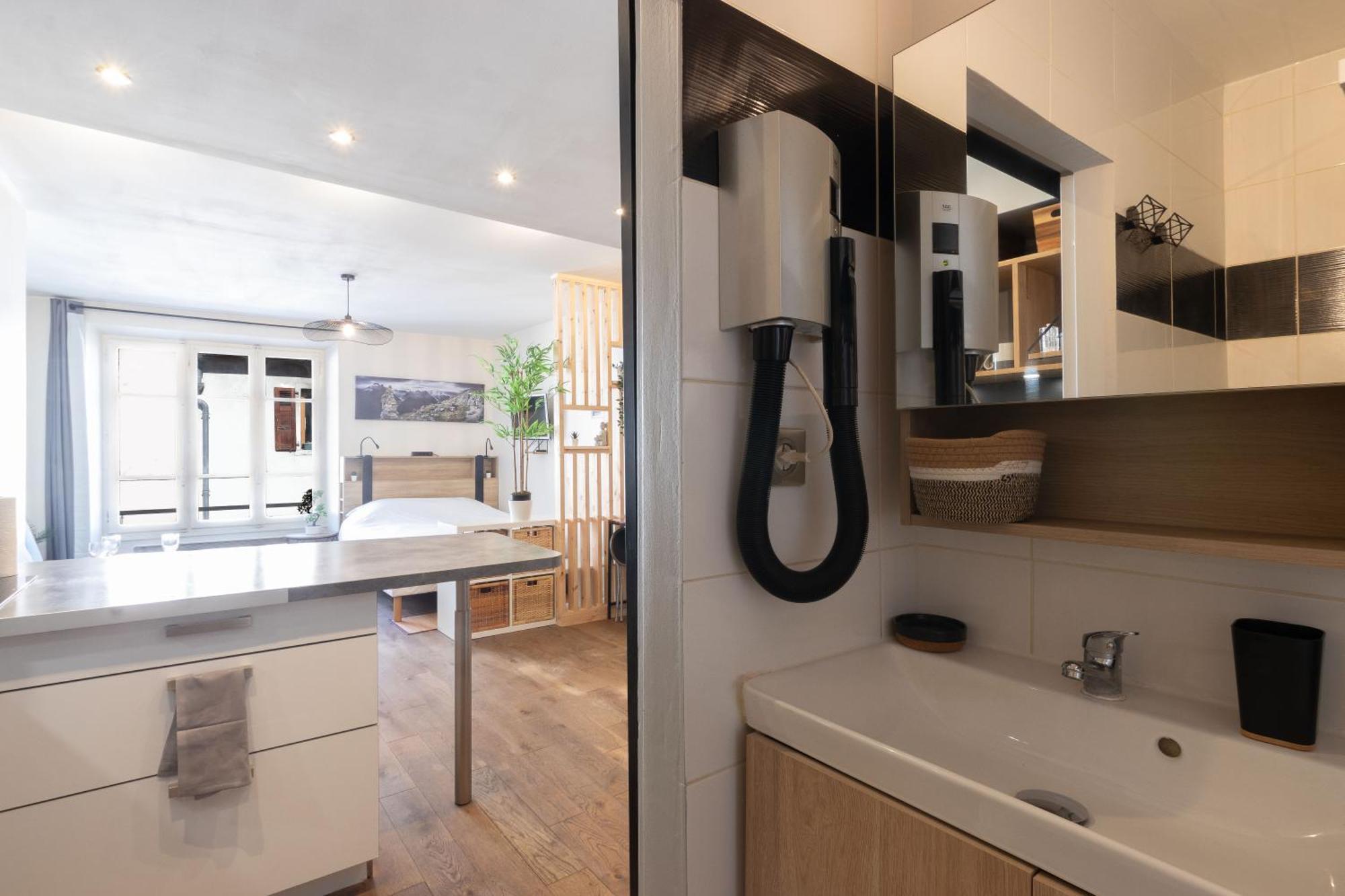 Apartment & Le Cocon Centre - Proche Gare Et Annecy