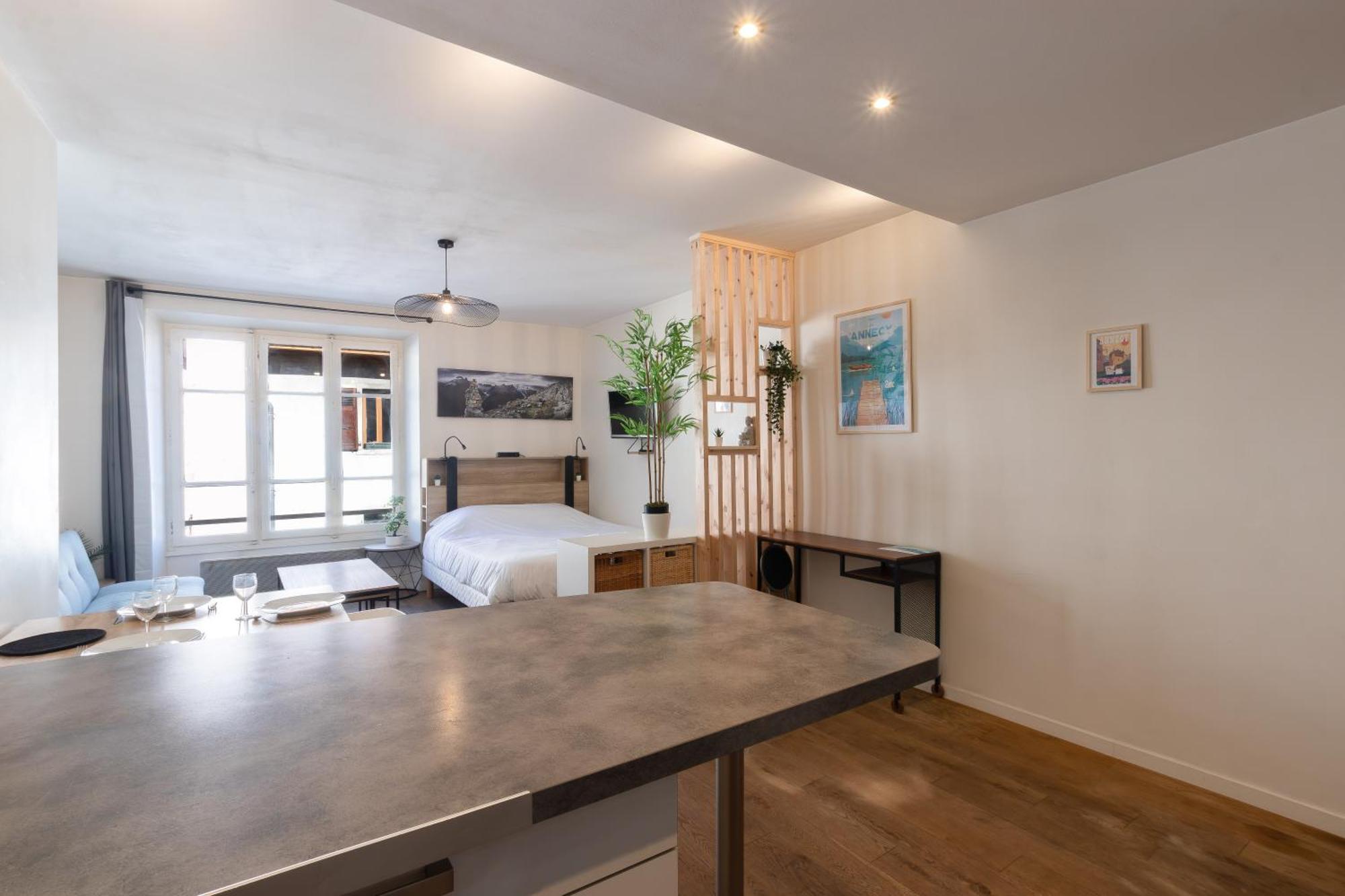 & Le Cocon Centre - Proche Gare Et Apartment Annecy