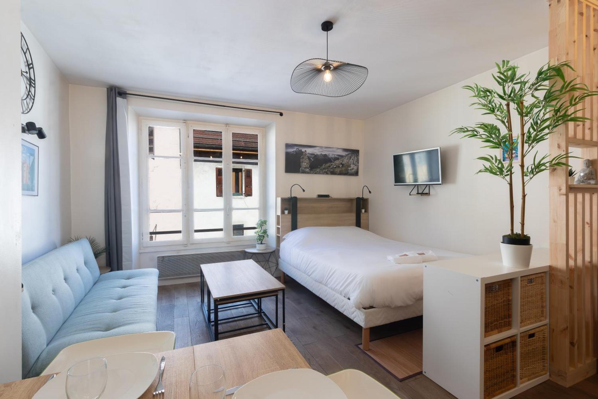Apartment & Le Cocon Centre - Proche Gare Et *